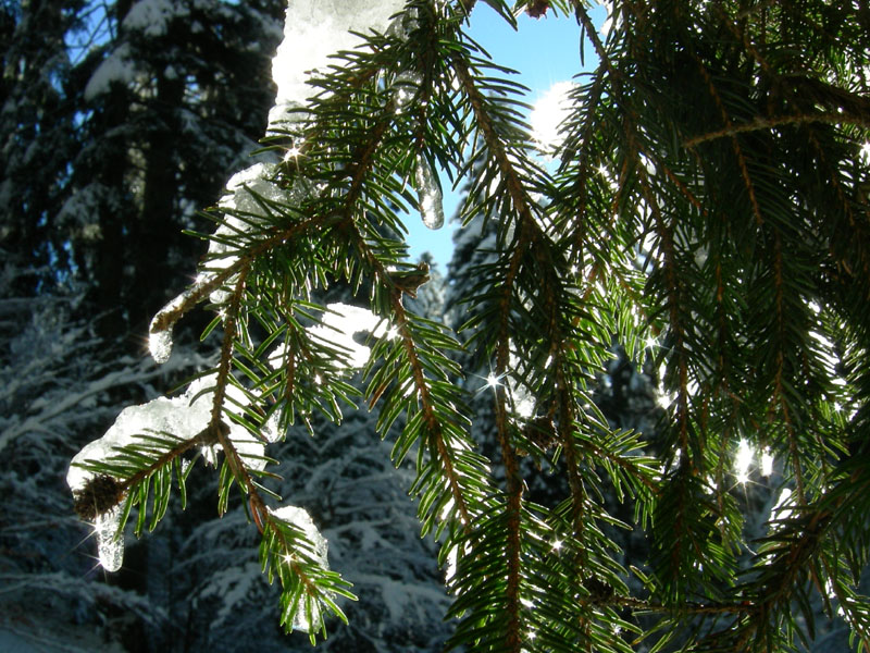 Dosso della Croce.....escursione