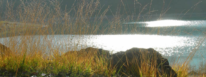 Laghi.......del TRENTINO