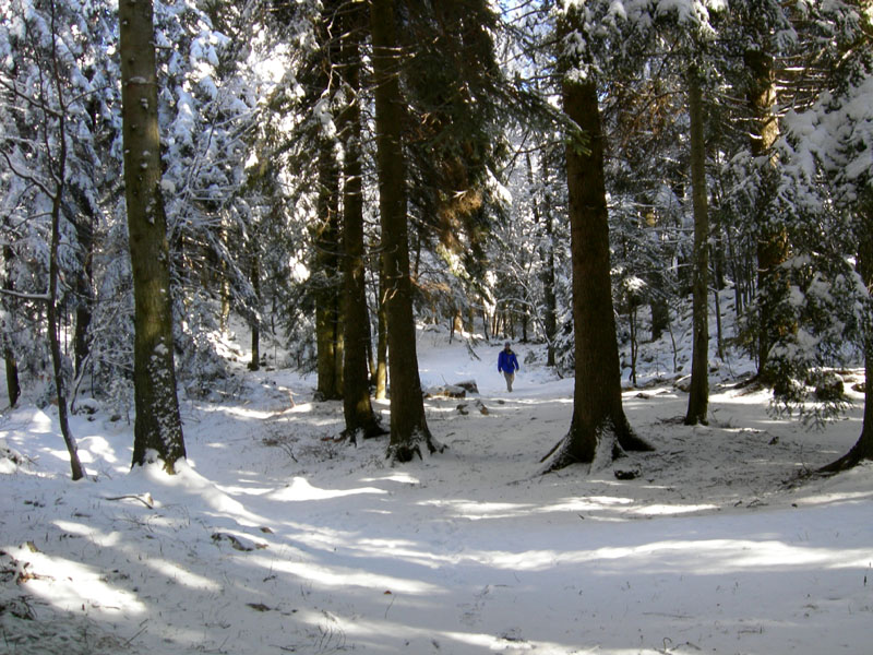 Dosso della Croce.....escursione