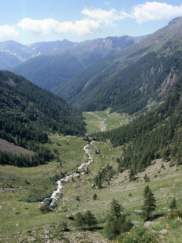 Val di Rabbi......terza ed ultima parte