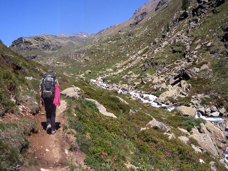 Val di Rabbi......terza ed ultima parte