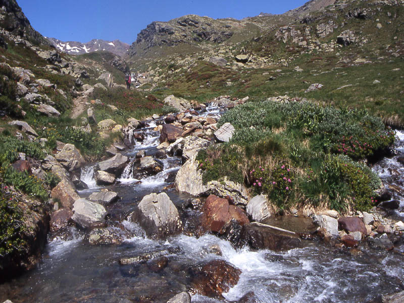 Val di Rabbi......terza ed ultima parte