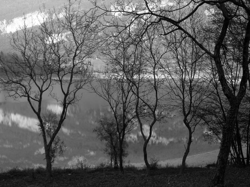 Laghi.......del TRENTINO