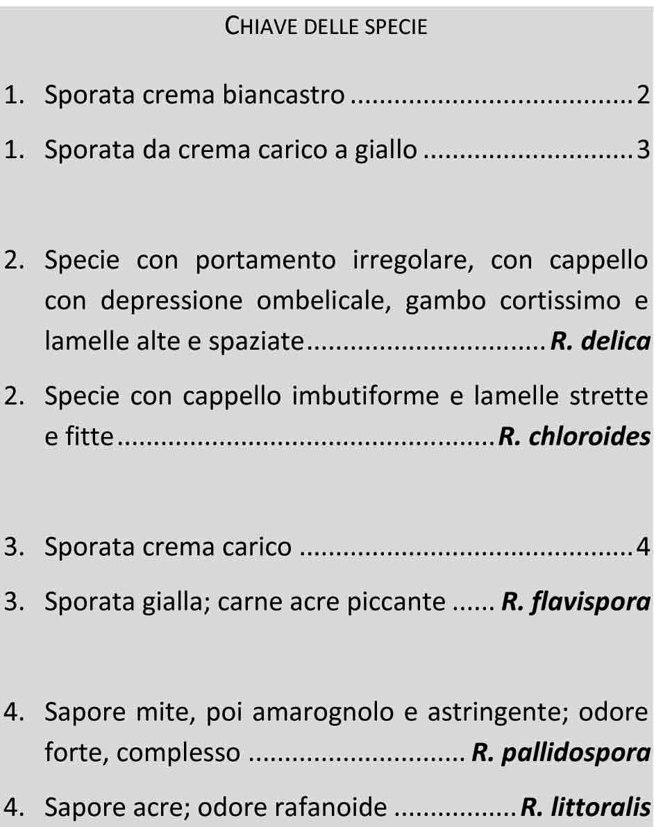 Il genere Russula: pt 1. Definizione e sottogenere Compacte
