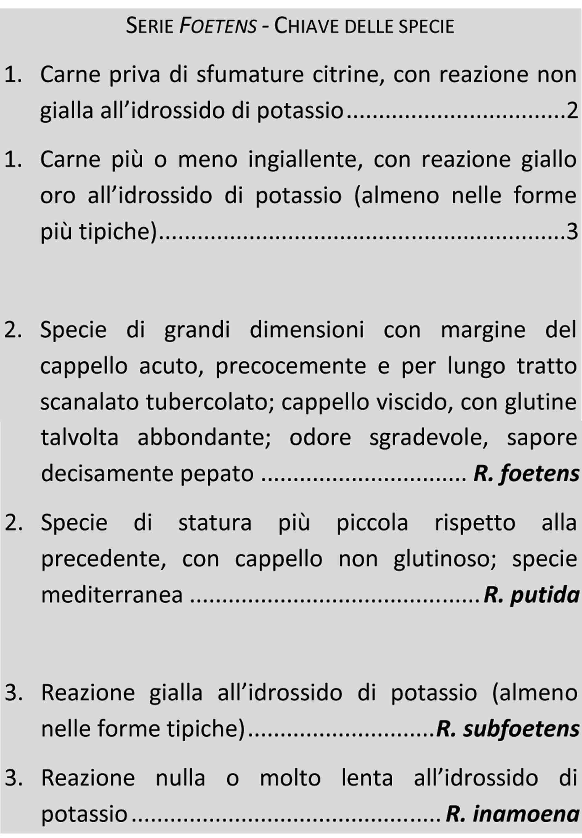 Il genere Russula: pt. 2 Il sottogenere Ingratula