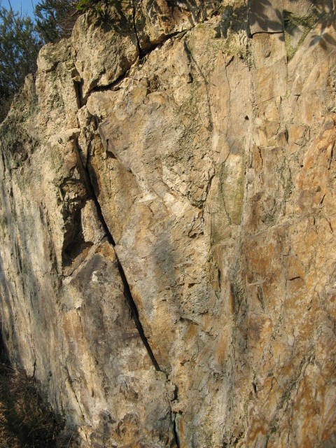 trachite?