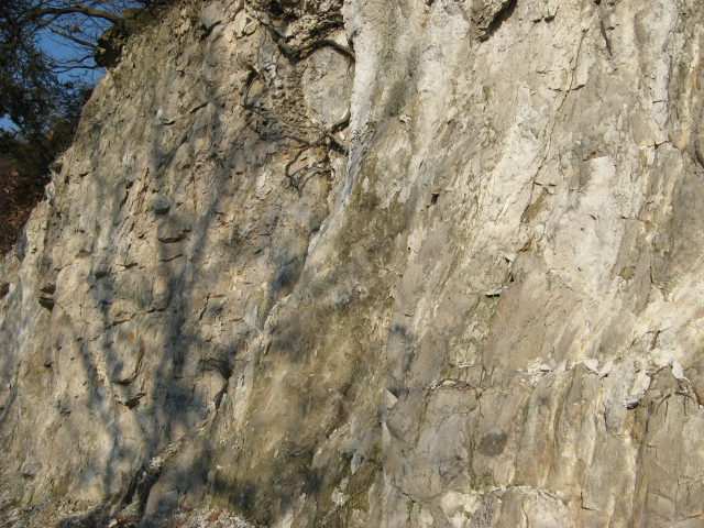 trachite?