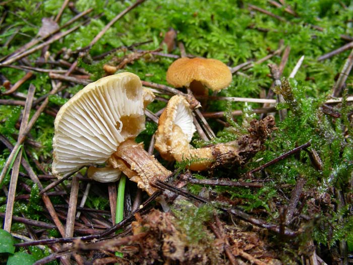 ritrovamenti del 05.05.07