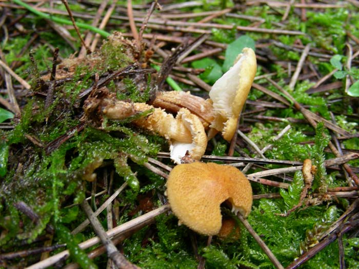 ritrovamenti del 05.05.07