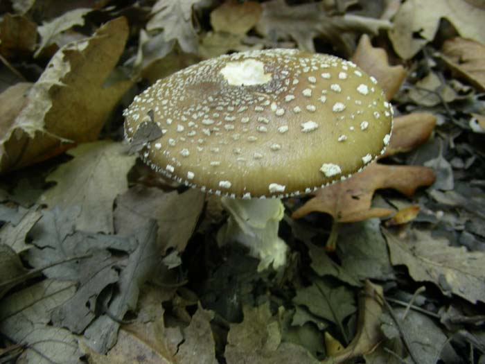 ritrovamenti dell'' 08.05.07