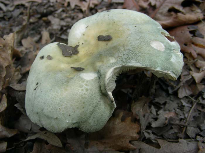 ritrovamenti dell'' 08.05.07