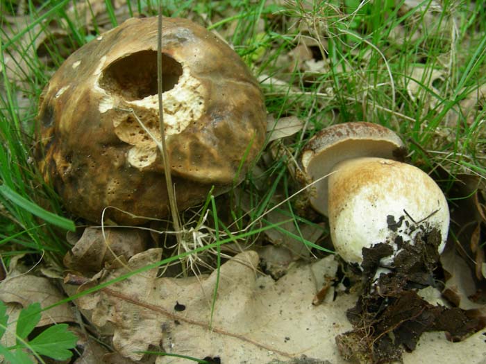 ritrovamenti dell''11.05.07