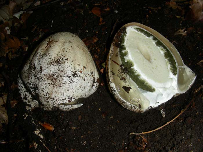 ritrovamenti del 08.06.07