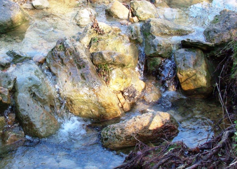 Il movimento dell''acqua