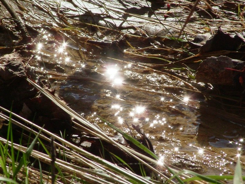La luce gioca con l''acqua