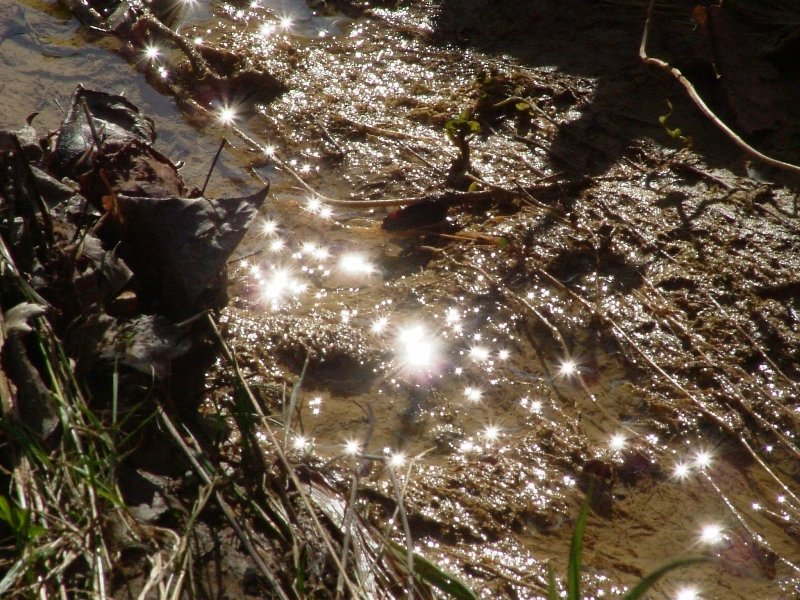 La luce gioca con l''acqua