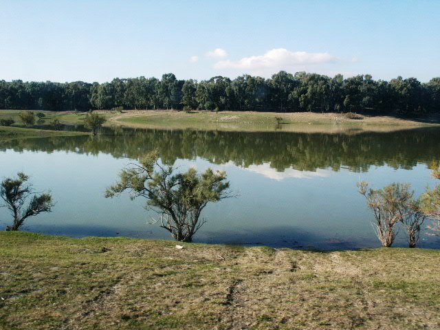 Laghi......della SICILIA