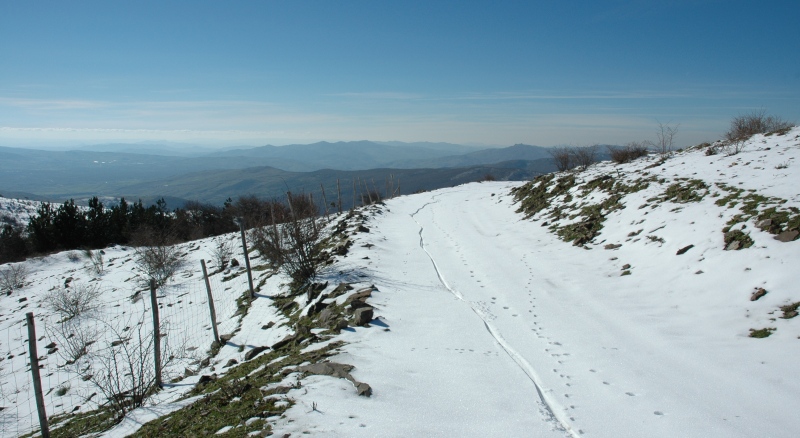 Paesaggi invernali.