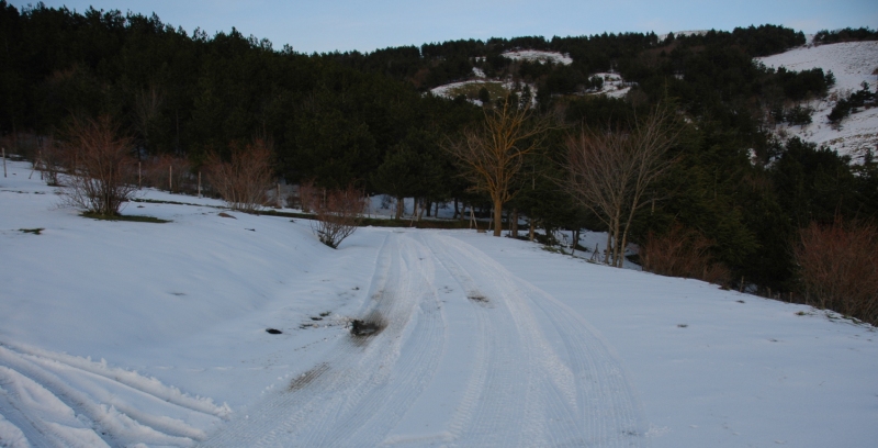 Paesaggi invernali.