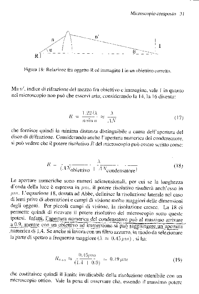 Apertura numerica del condensatore