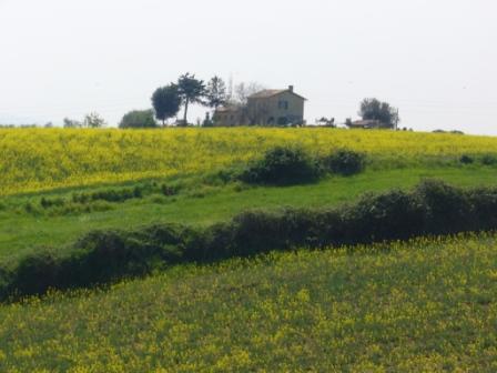 DAL TERRAZZO DI CASA MIA