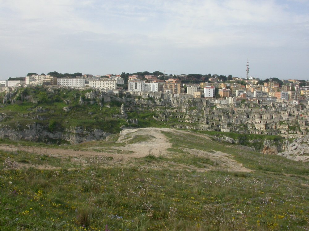 Matera, i sassi, le podoliche e...lo Hyerophis viridiflavus