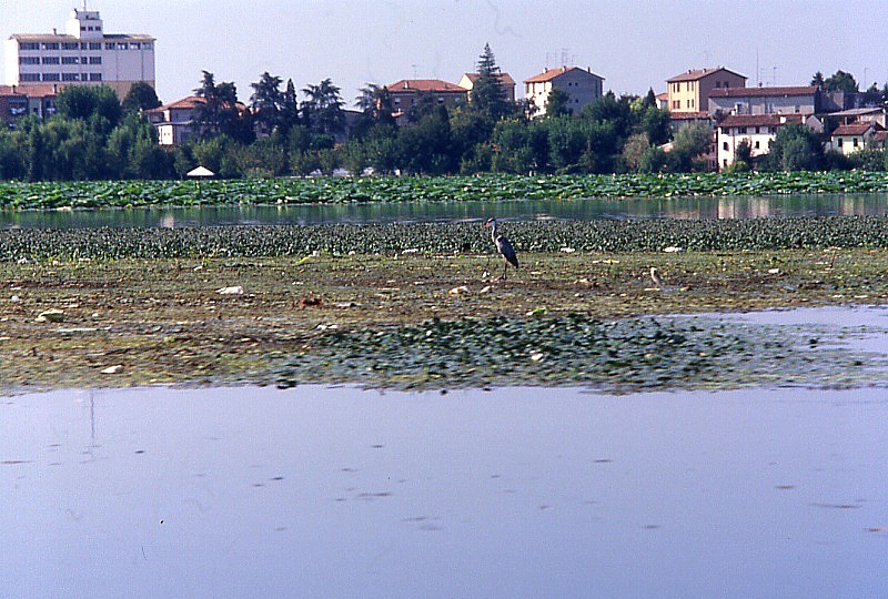 Laghi....della LOMBARDIA