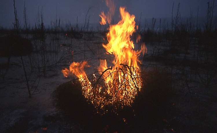al fuoco