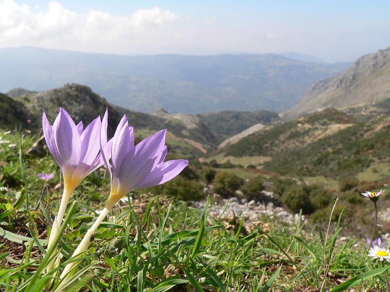 Una passeggiata alle Rocche del Crasto (Nebrodi)