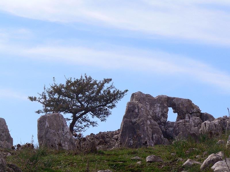 Una passeggiata alle Rocche del Crasto (Nebrodi)