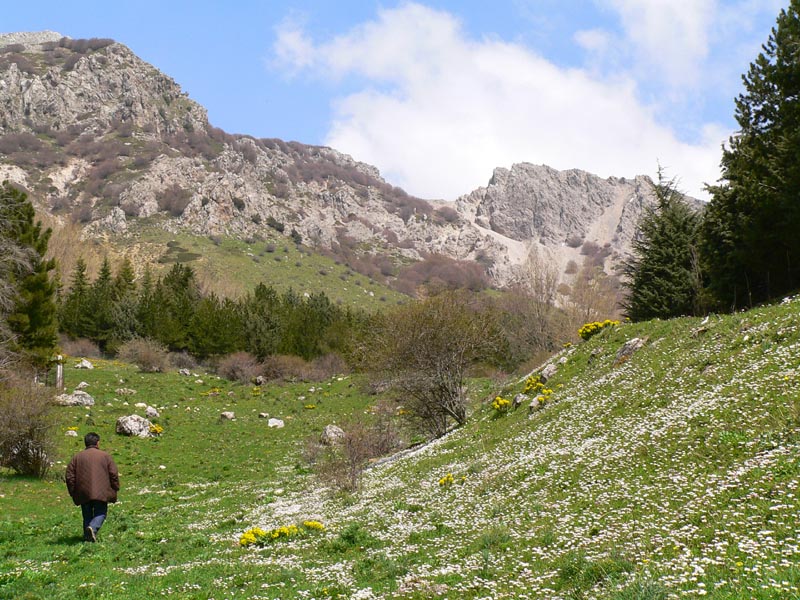 Escursione Madonie del 15 Aprile 2007