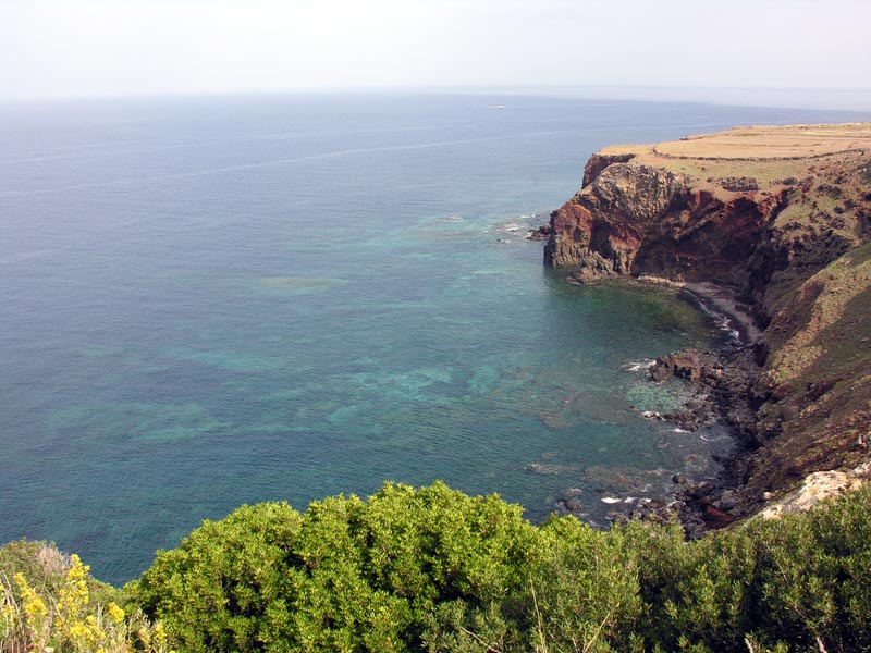 Inanellamento passeriformi a Ustica