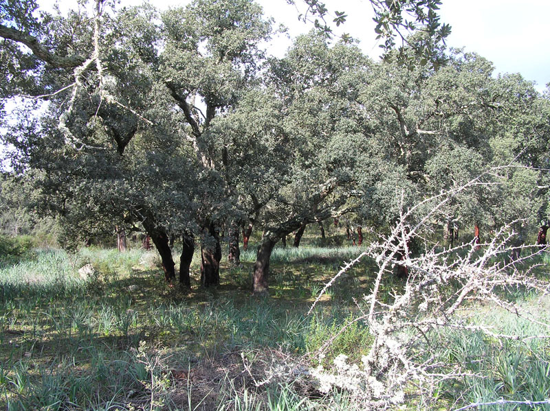 Una settimana in Sardegna