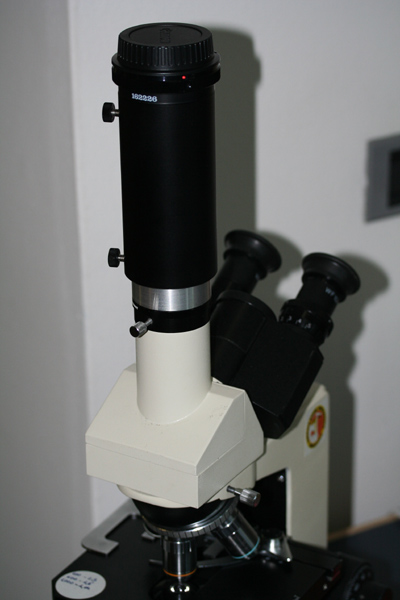 Messa a punto del microscopio