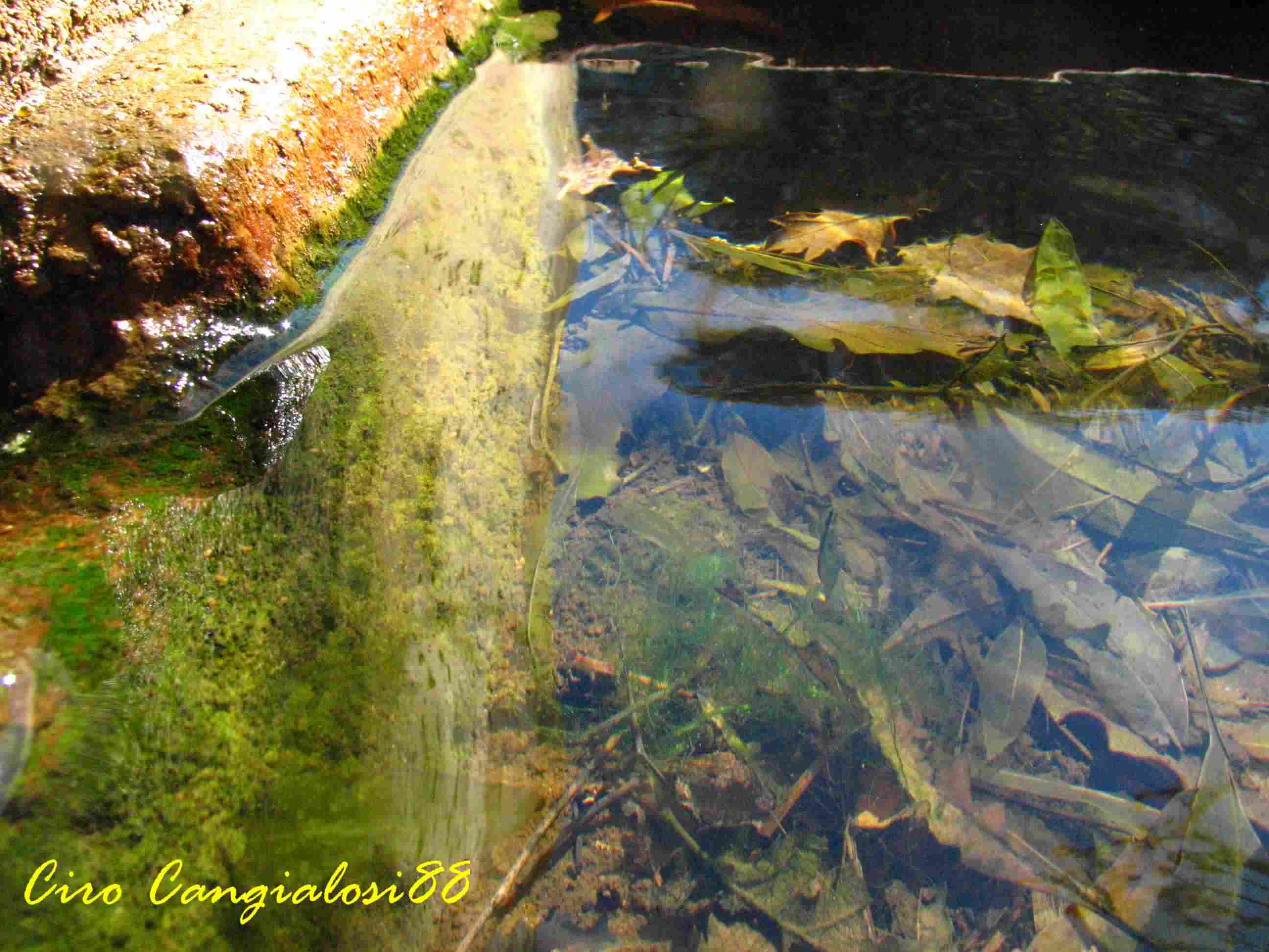 Il movimento dell''acqua