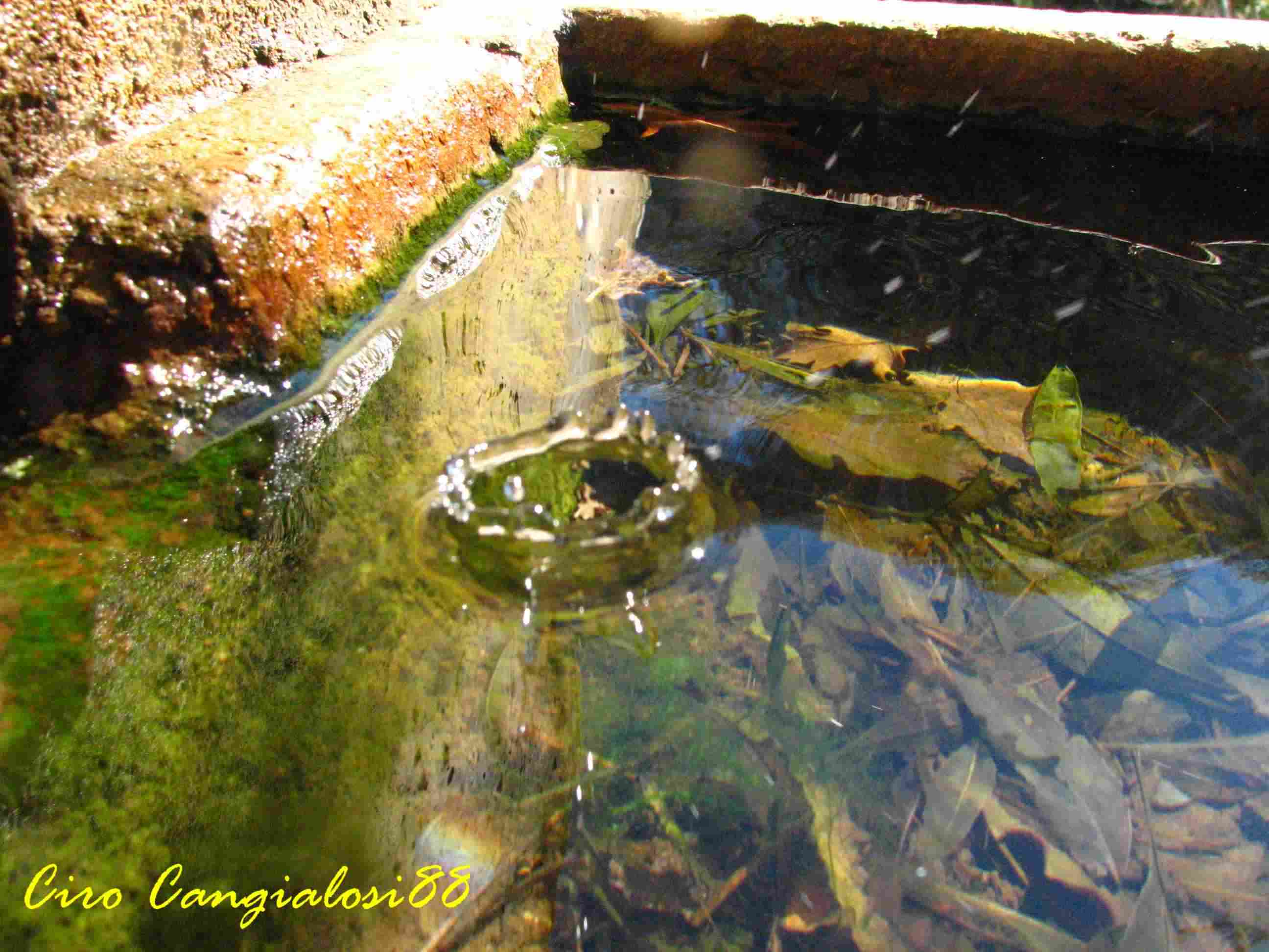 Il movimento dell''acqua
