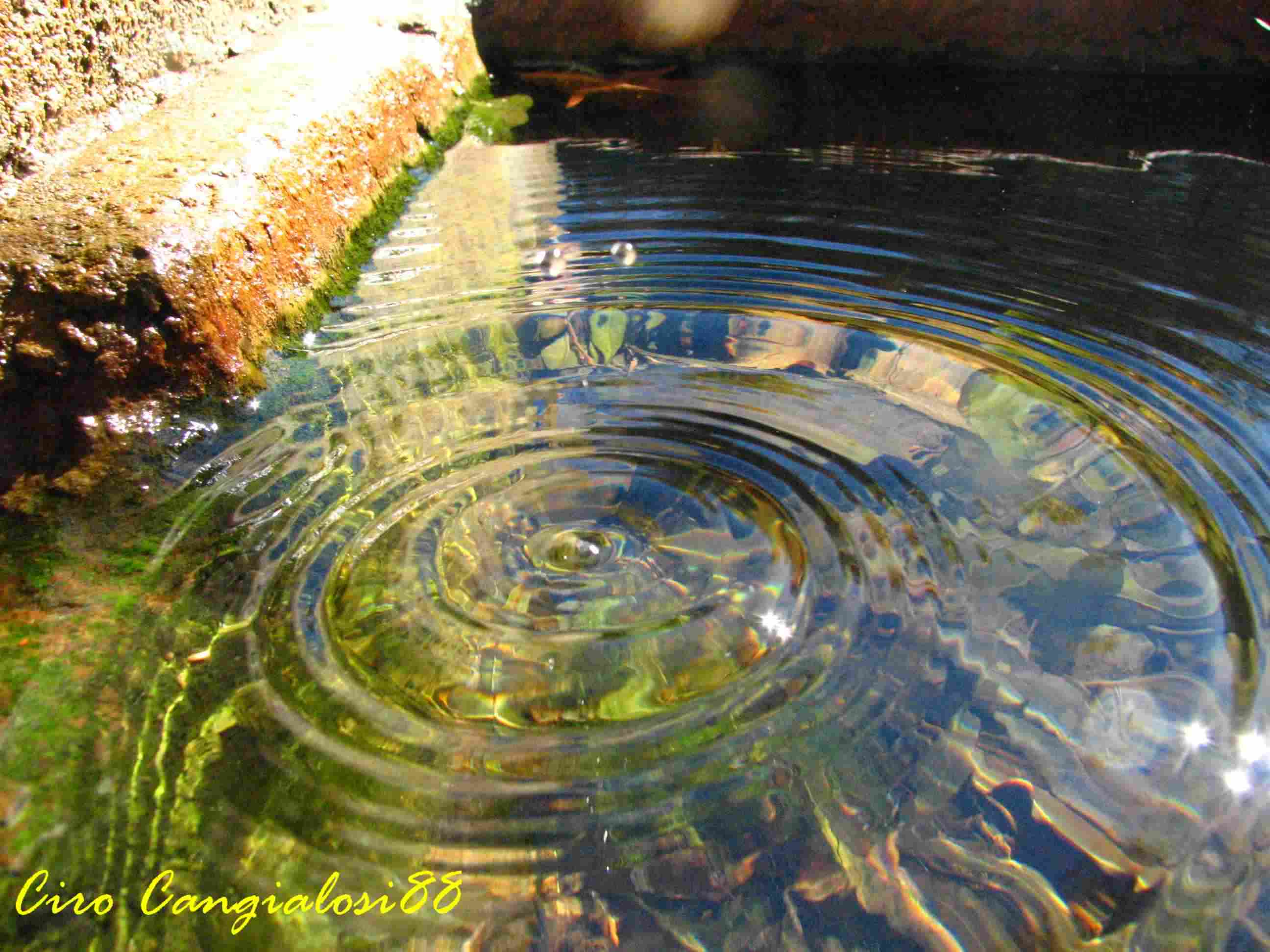 Il movimento dell''acqua