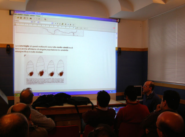 Gruppo Malacologico  Siculo Calabro