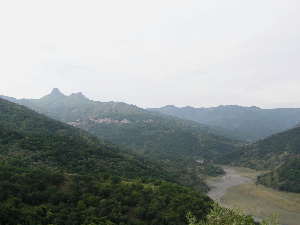 Marmorana (Ambigua) fuscolabiata    di Sicilia