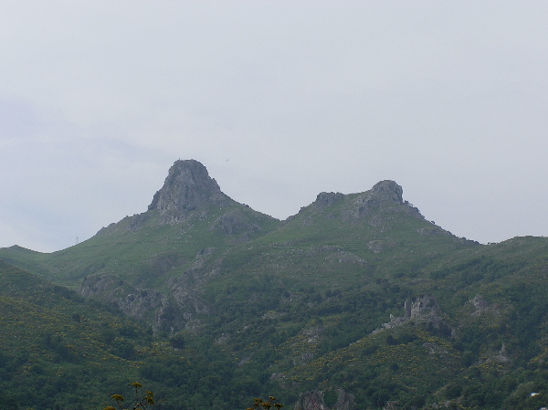 Marmorana (Ambigua) fuscolabiata    di Sicilia