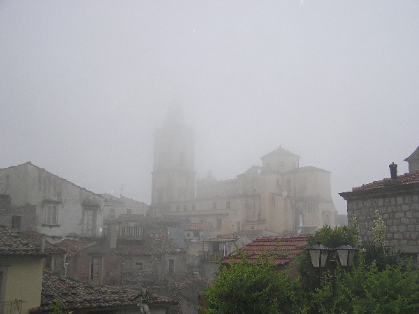 Marmorana (Ambigua) fuscolabiata    di Sicilia