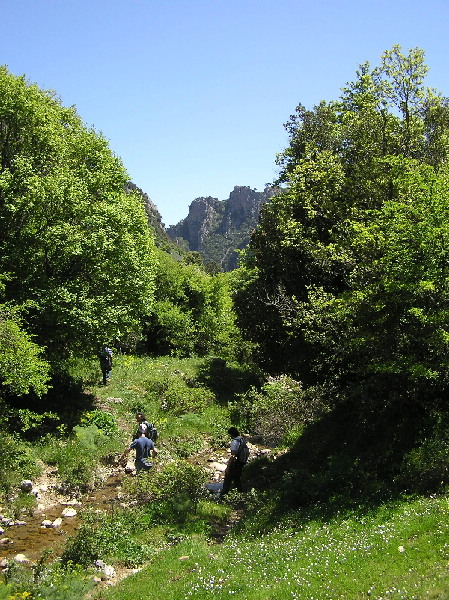 Seconda escursione sulle Madonie 13 Maggio 2007