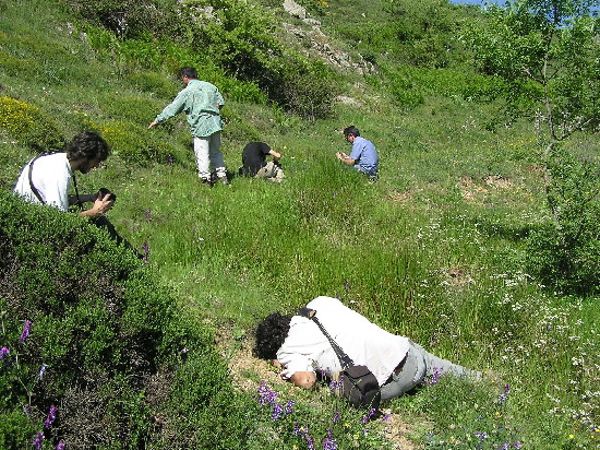 Seconda escursione sulle Madonie 13 Maggio 2007