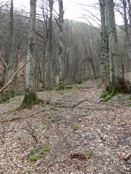 Escursione sull''Appenino Tosco/Emiliano