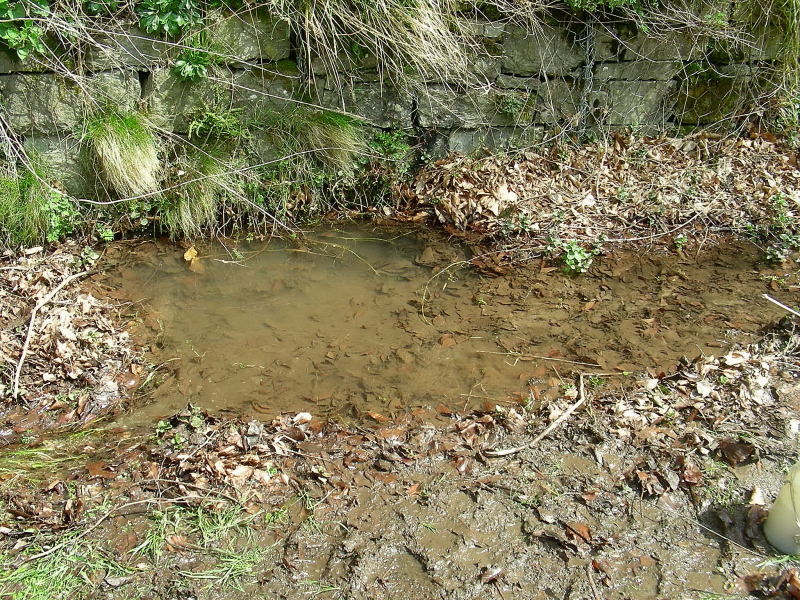 Escursione sull''Appenino Tosco/Emiliano