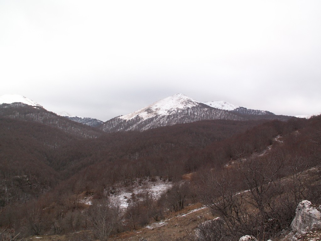 poca neve ... lupi e niente orsi nel PNA