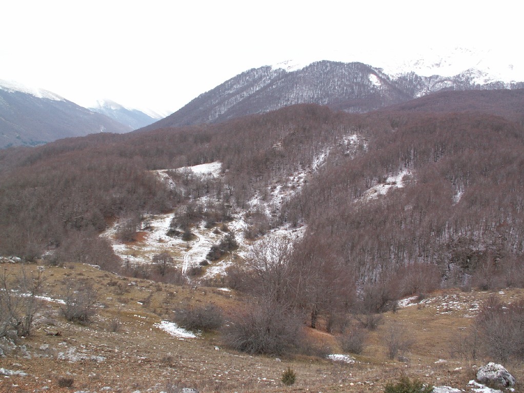 poca neve ... lupi e niente orsi nel PNA
