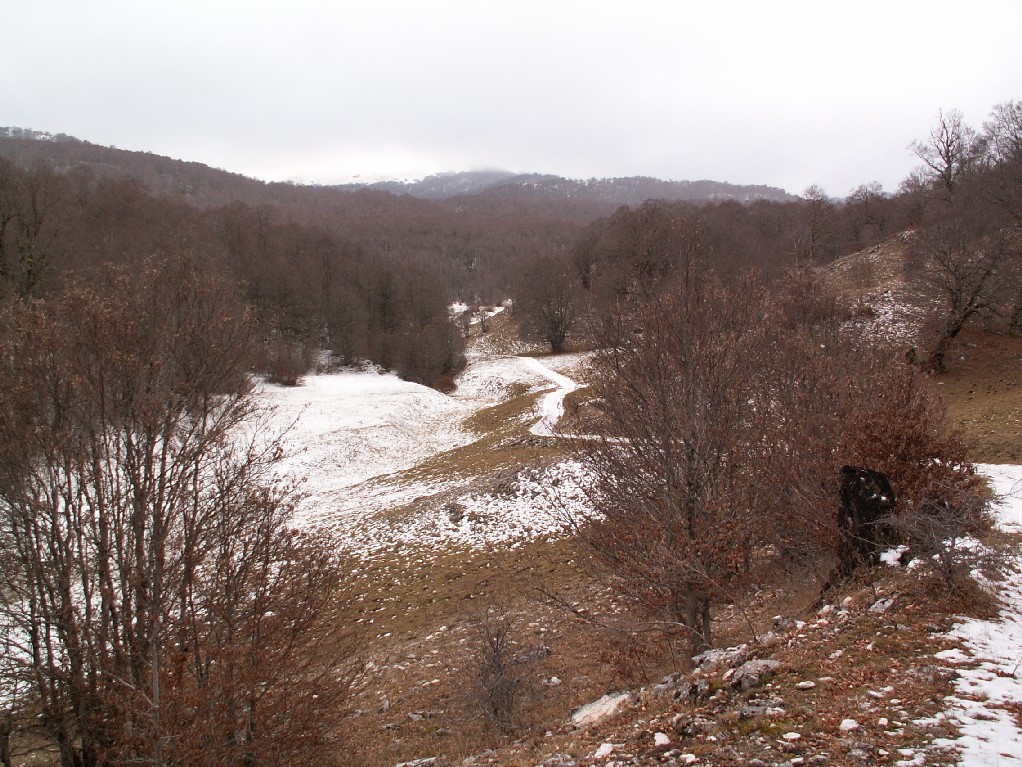 poca neve ... lupi e niente orsi nel PNA