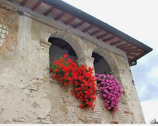 Finestre particolari.