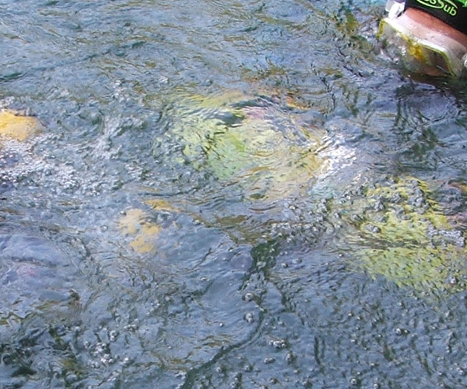 La luce gioca con l''acqua